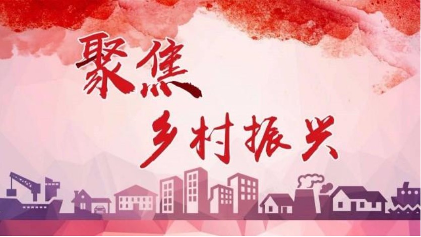 巩固攻坚成果，推进乡村振兴